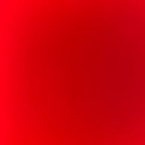 Meet your Posher, Chase